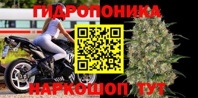spice Коммунар