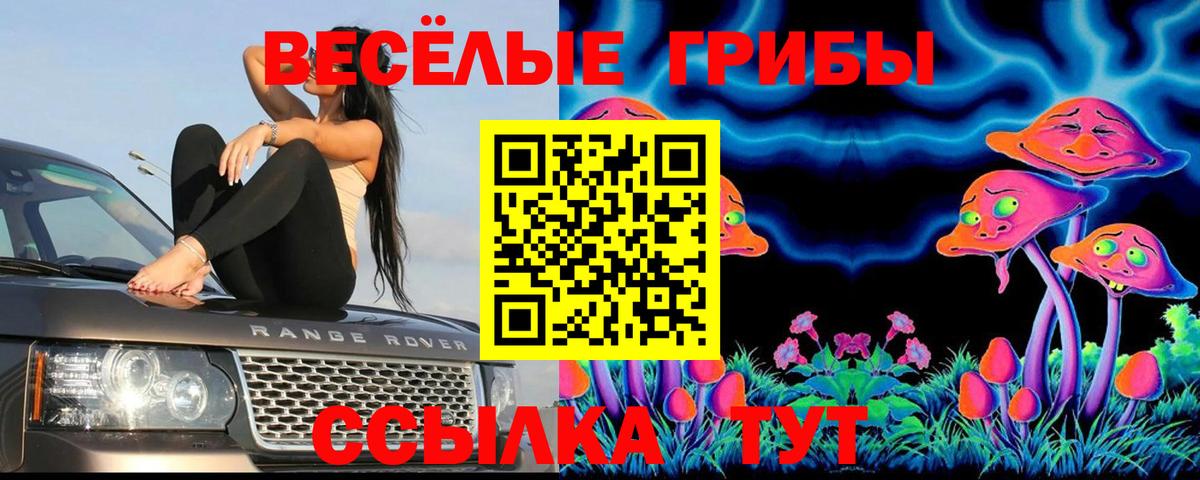 Псилоцибиновые грибы MAGIC MUSHROOMS  Вход с VPN  Кузнецк 