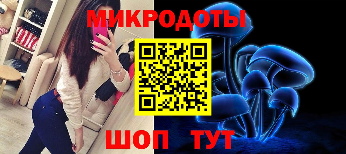 Псилоцибиновые грибы мухоморы Кузнецк